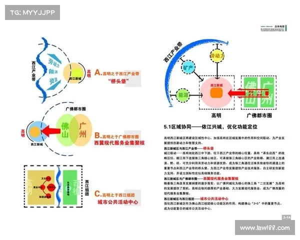 足球俱乐部转会资金投入规划与管理策略研究方案